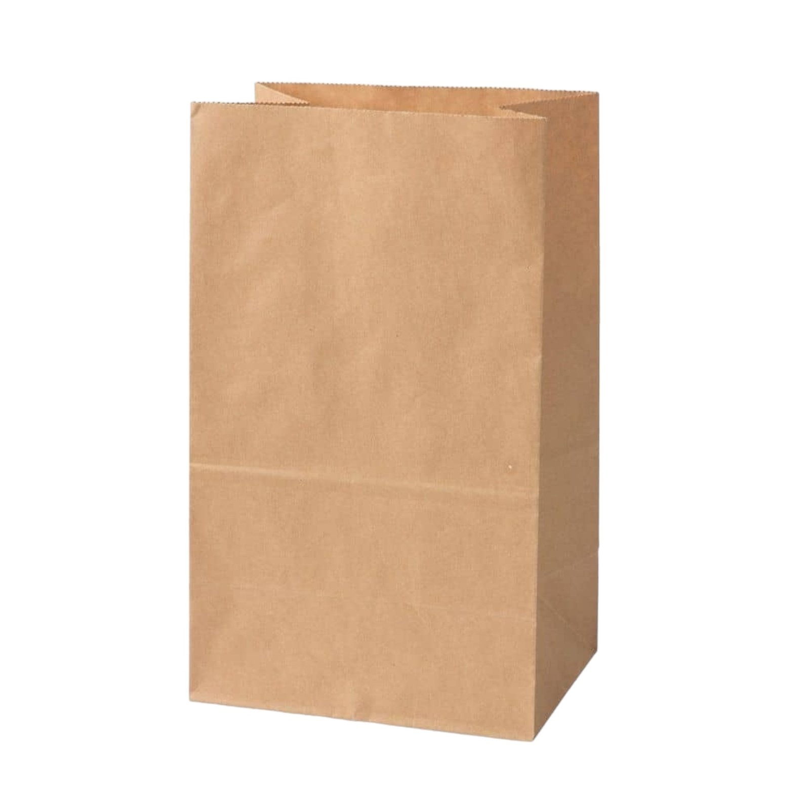 Sac Kraft SOS 20x16x40 65grs BRUN